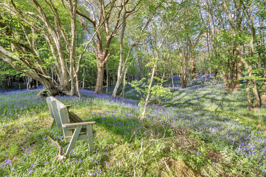 Additional image 22 of 5 bed detached house for saleWitherenden Hill, Burwash, Etchingham, East Sussex TN19