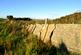 Additional image 14 of Balgair Wood (just under 36 acres), Olgrinmore, Scotscalder, Caithness KW12