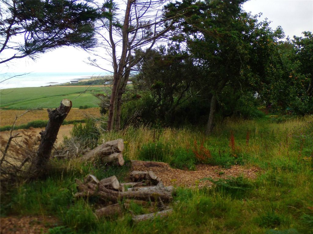 Additional image 20 of 3 bed bungalow for saleLlanon, Ceredigion SY23