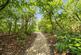 Additional image 8 of Hassock Wood, Keston