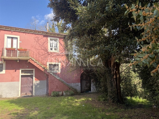 Fauglia (Pisa) photo 3