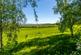 Additional image 14 of Kersoe Cottage, Kersoe, Worcestershire, WR10