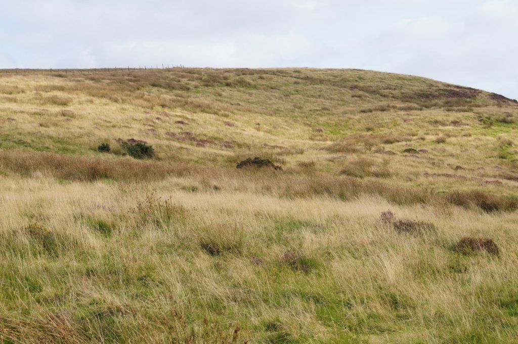 Land for salePencarreg, Carmarthenshire SA48