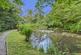 Cwmfelin Boeth - 1.75 Acre Wooded Plot photo 5