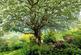 Additional image 27 of Penstrowed, Newtown, Powys, SY16