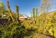 Additional image 4 of Plot Of Land, Tarbet, Arrochar, Argyll and Bute, G83
