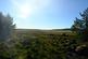 Additional image 10 of Balgair Wood (just under 36 acres), Olgrinmore, Scotscalder, Caithness KW12