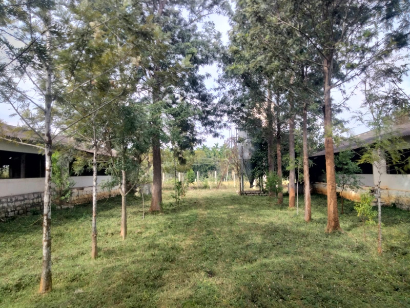 Additional image 2 of Doddaballapur, Bangalore