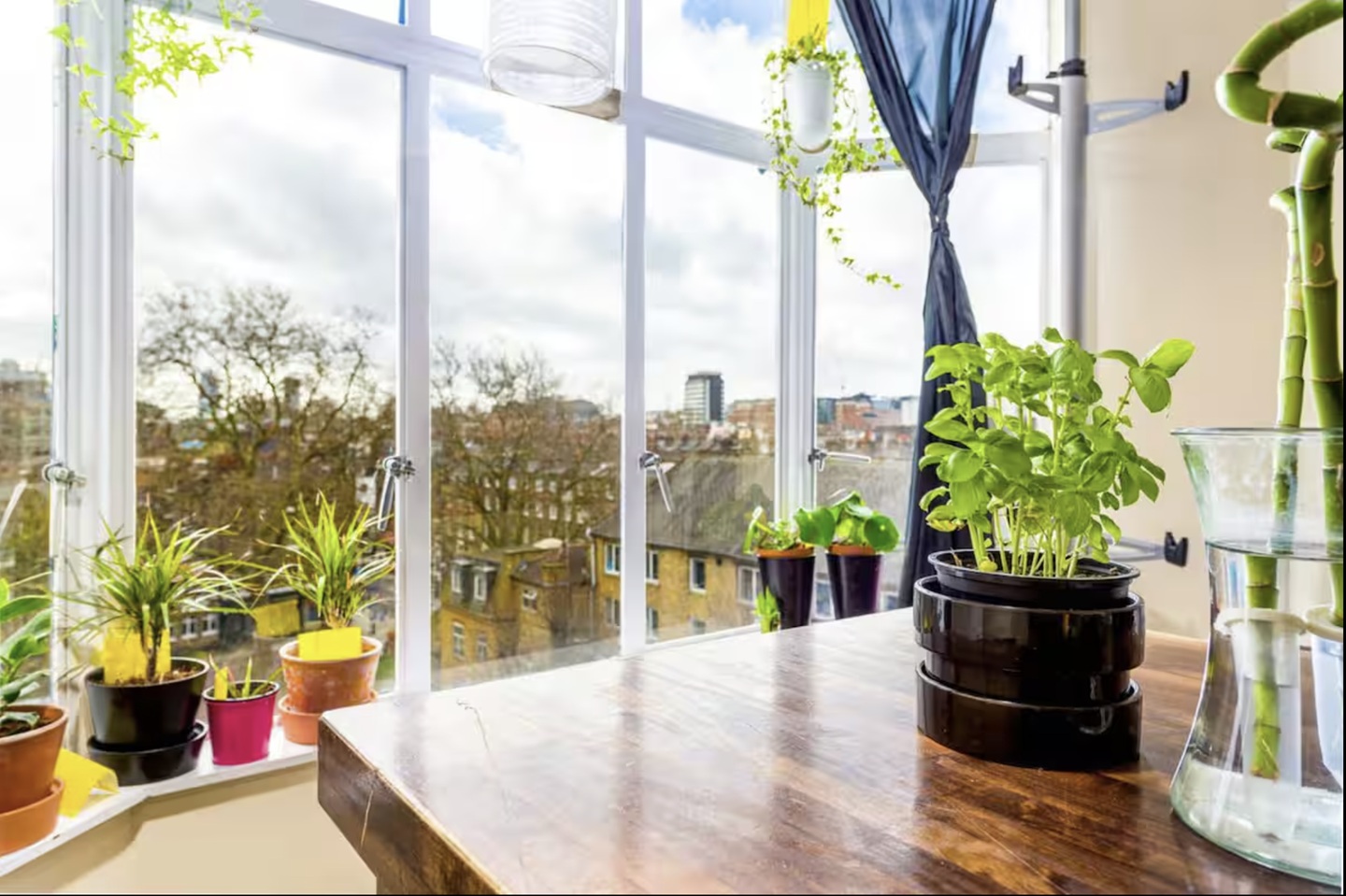 1 Bed Flat, Gray's Inn Rd, WC1X, N1 7GU photo 2