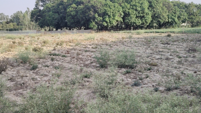 Itaunja, Lucknow photo 3