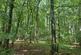 Redditch, Worcestershire B48 photo 4