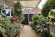 Additional image 36 of Powys Close, Oakley Vale, Corby, NN18