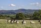 Additional image 14 of Cradley, Malvern, Herefordshire