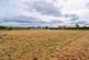 Potential plot, George Street, Halkirk, Caithness photo 5
