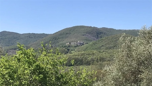 Avigliano Umbro (Provincia di Terni) photo 2