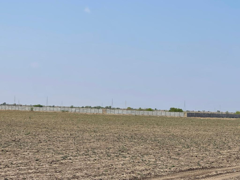 Dholera, Ahmedabad photo 2