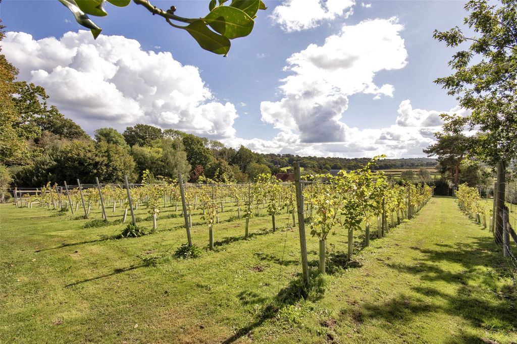 Additional image 25 of 5 bed detached house for saleWitherenden Hill, Burwash, Etchingham, East Sussex TN19