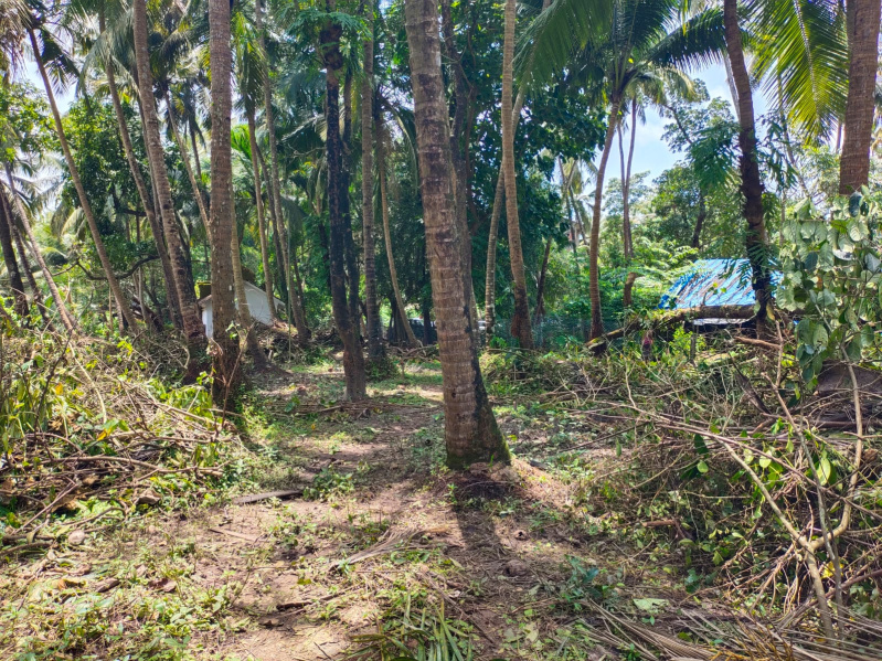 Porvorim, Goa photo 2