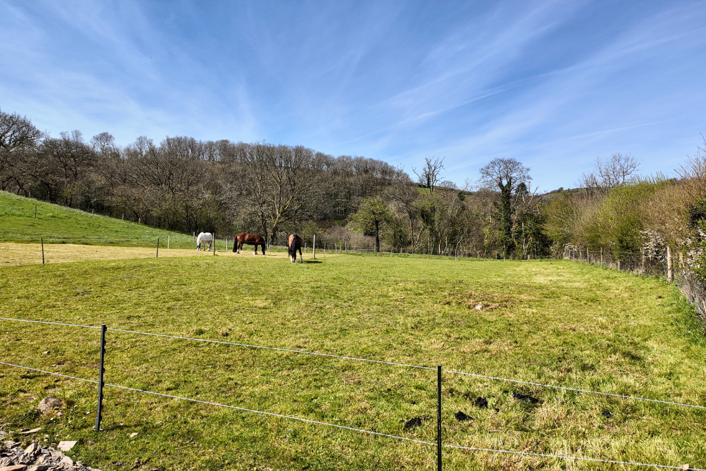Additional image 48 of 3 bed equestrian for saleBryn Dafydd Isaf, Esgardawe, Llandeilo SA19