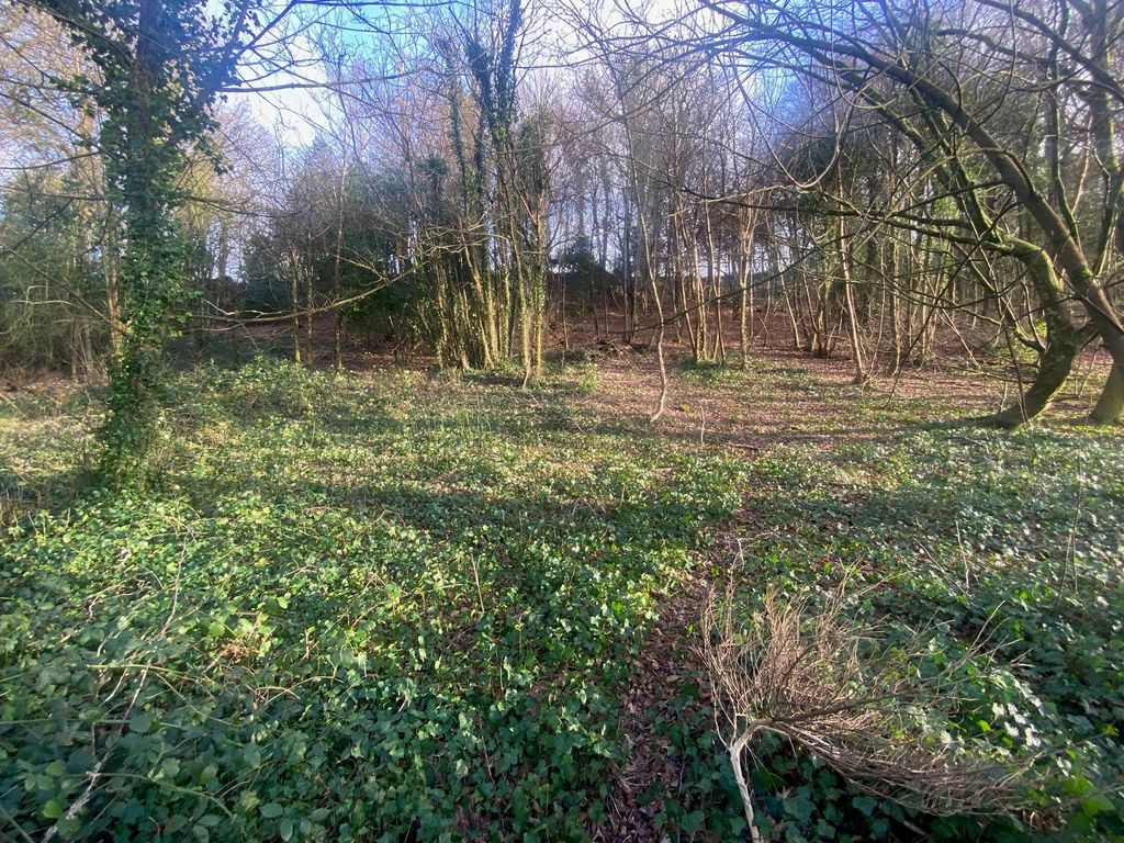 Additional image 6 of Land for saleEaglesbush Valley, Neath, Neath Port Talbot. SA11