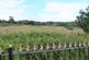 Additional image 6 of Lippitts Hill, Loughton