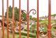Additional image 8 of Devonshire Road, Sutton, Surrey