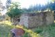 Additional image 4 of Balgair Wood (just under 36 acres), Olgrinmore, Scotscalder, Caithness KW12