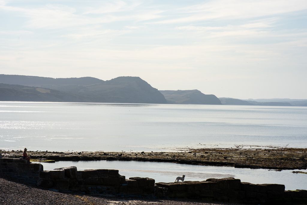Additional image 32 of 3 bed terraced house for salePound Street, Lyme Regis, Dorset DT7