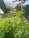 Additional image 20 of Weldon Road, Gainsborough DN21