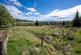 Blar Mor, Grantown-on-Spey PH26 photo 3