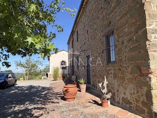 Vinci (Provincia di Firenze) photo 3