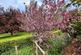 Additional image 10 of Willow Bank Close, Throckmorton, Pershore, WR10