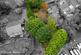 Additional image 28 of Middlewood Road, Stockport SK6