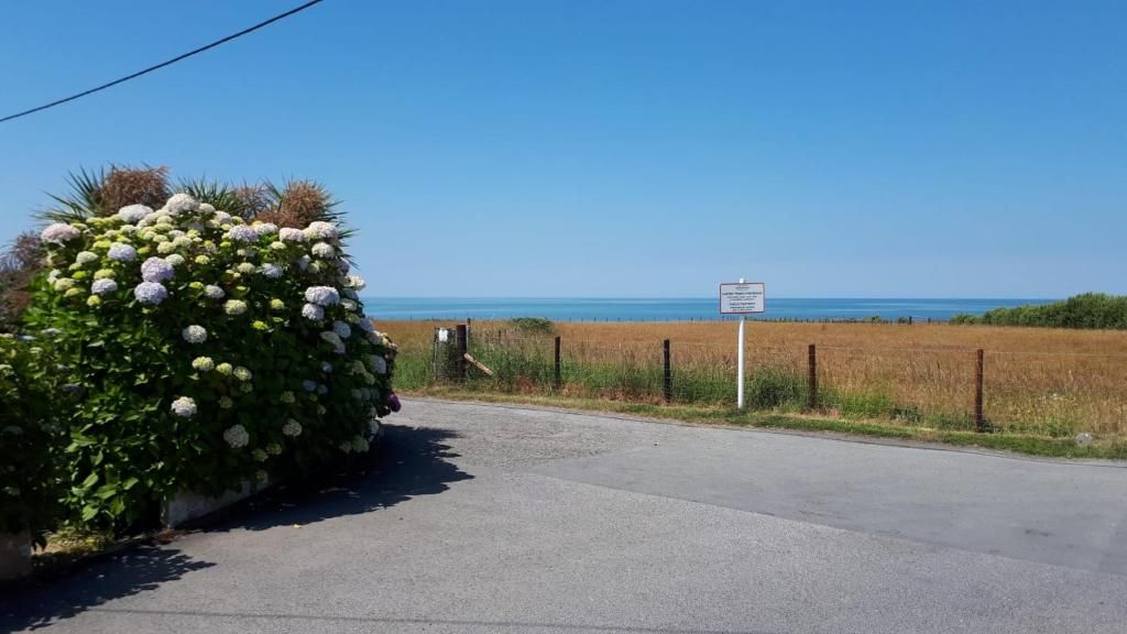 2 bed bungalow for saleLlansantffraid, Llanon SY23 photo 2