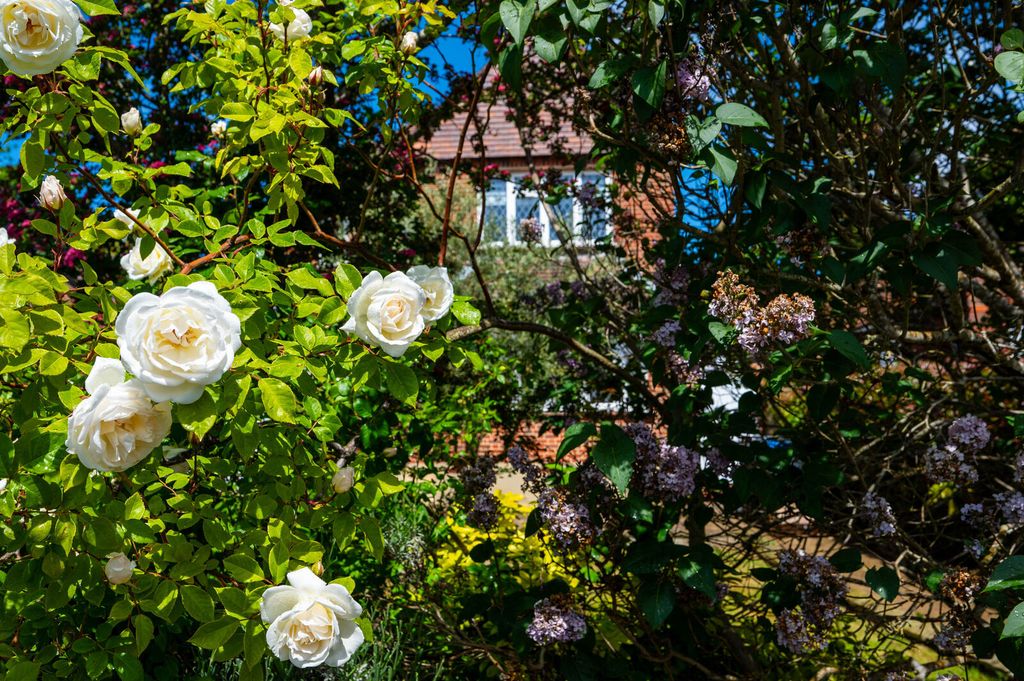 Additional image 14 of 4 bed detached house for saleBurghley Avenue, Coombe, New Malden KT3