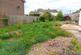 Bryan Street, Spennymoor, County Durham, DL16 photo 2
