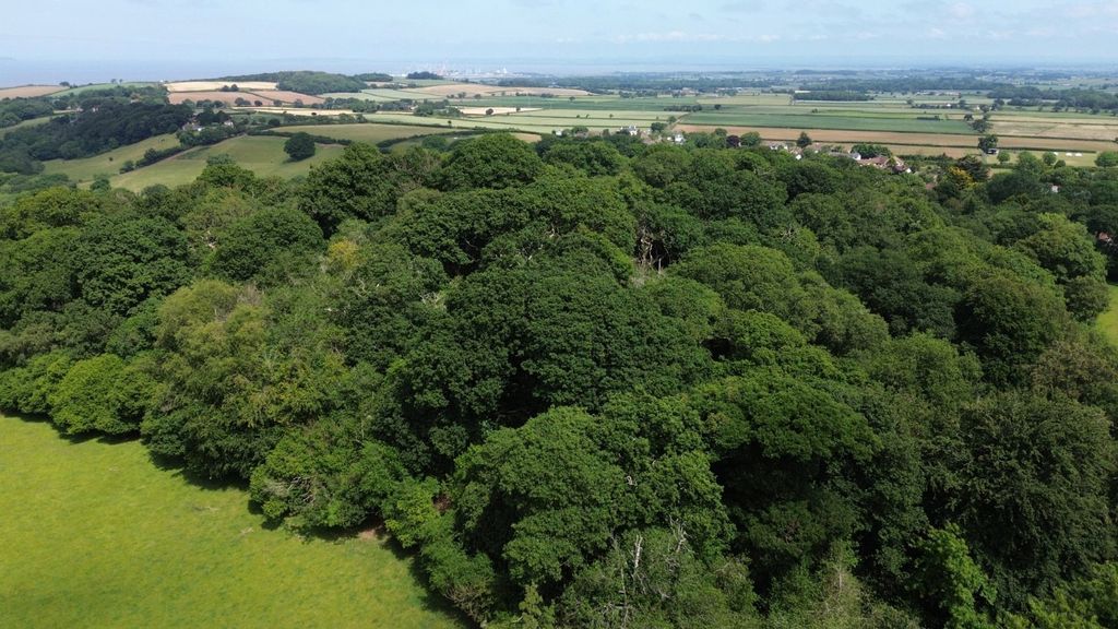 Additional image 3 of Land for saleHolford, Bridgwater, Somerset TA5