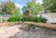 Additional image 15 of Lyttelton Road, Leyton