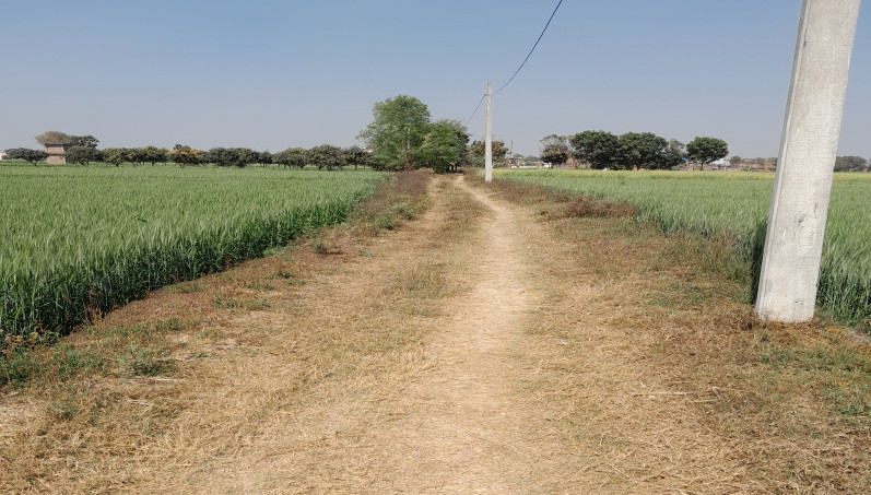 Additional image 3 of Punpun, Patna