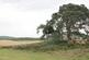 Plot at Muiryden Farm, Fortrose, IV10 photo 3