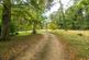 Additional image 18 of Thicket Road, Houghton, Huntingdon