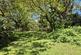 Additional image 33 of Applemore Hill, Southampton SO45