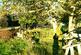 Additional image 22 of Balgair Wood (just under 36 acres), Olgrinmore, Scotscalder, Caithness KW12
