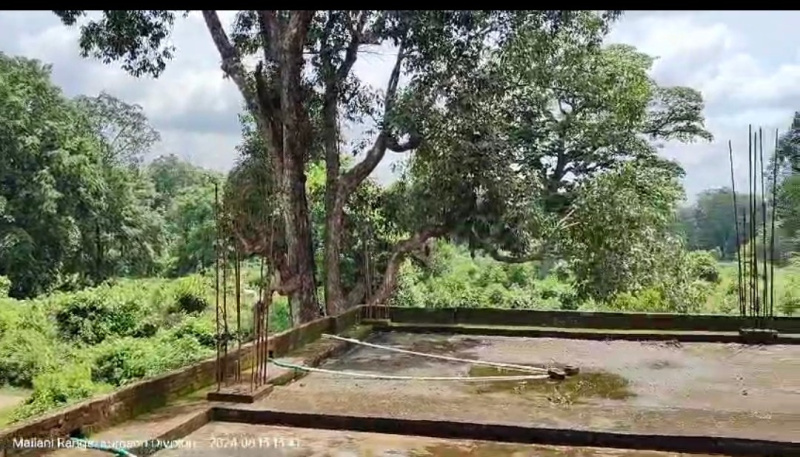 Ramnagar, Nainital