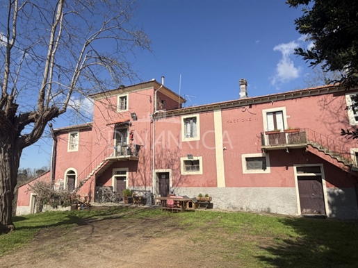 Fauglia (Pisa) photo 2