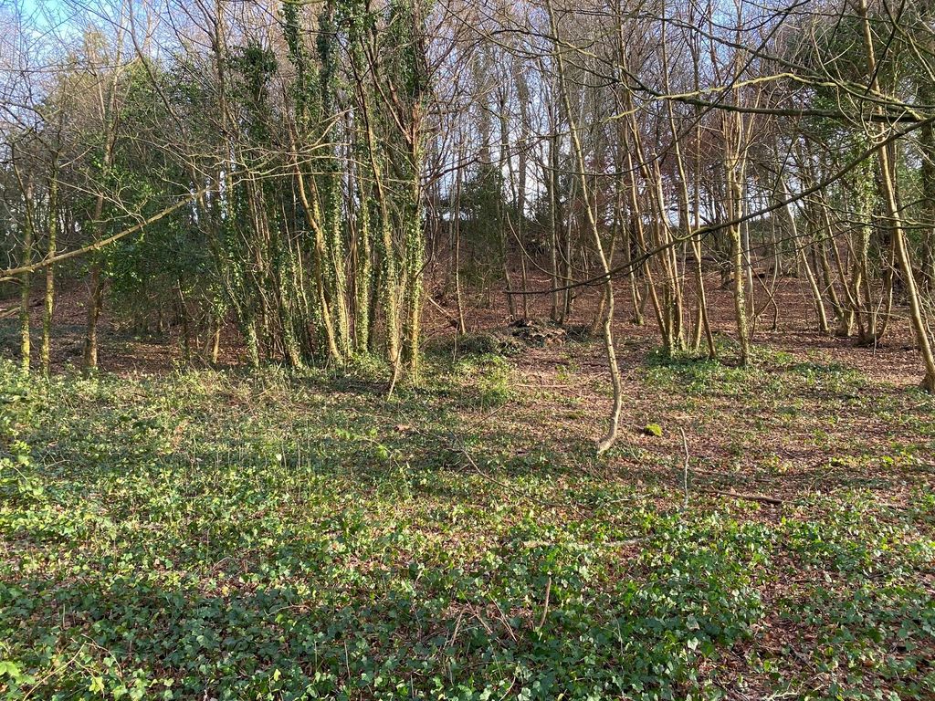 Additional image 4 of Land for saleEaglesbush Valley, Neath, Neath Port Talbot. SA11