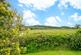 Additional image 38 of Overton, Ludlow, SY8