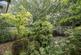 Hardwick Green, Ealing photo 3