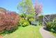 Maesmawr, Rhayader photo 5