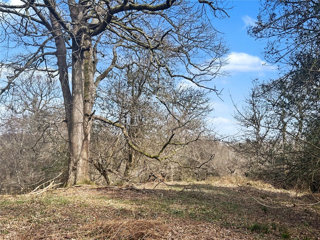 Additional image 7 of Land for saleHolford, Bridgwater, Somerset TA5
